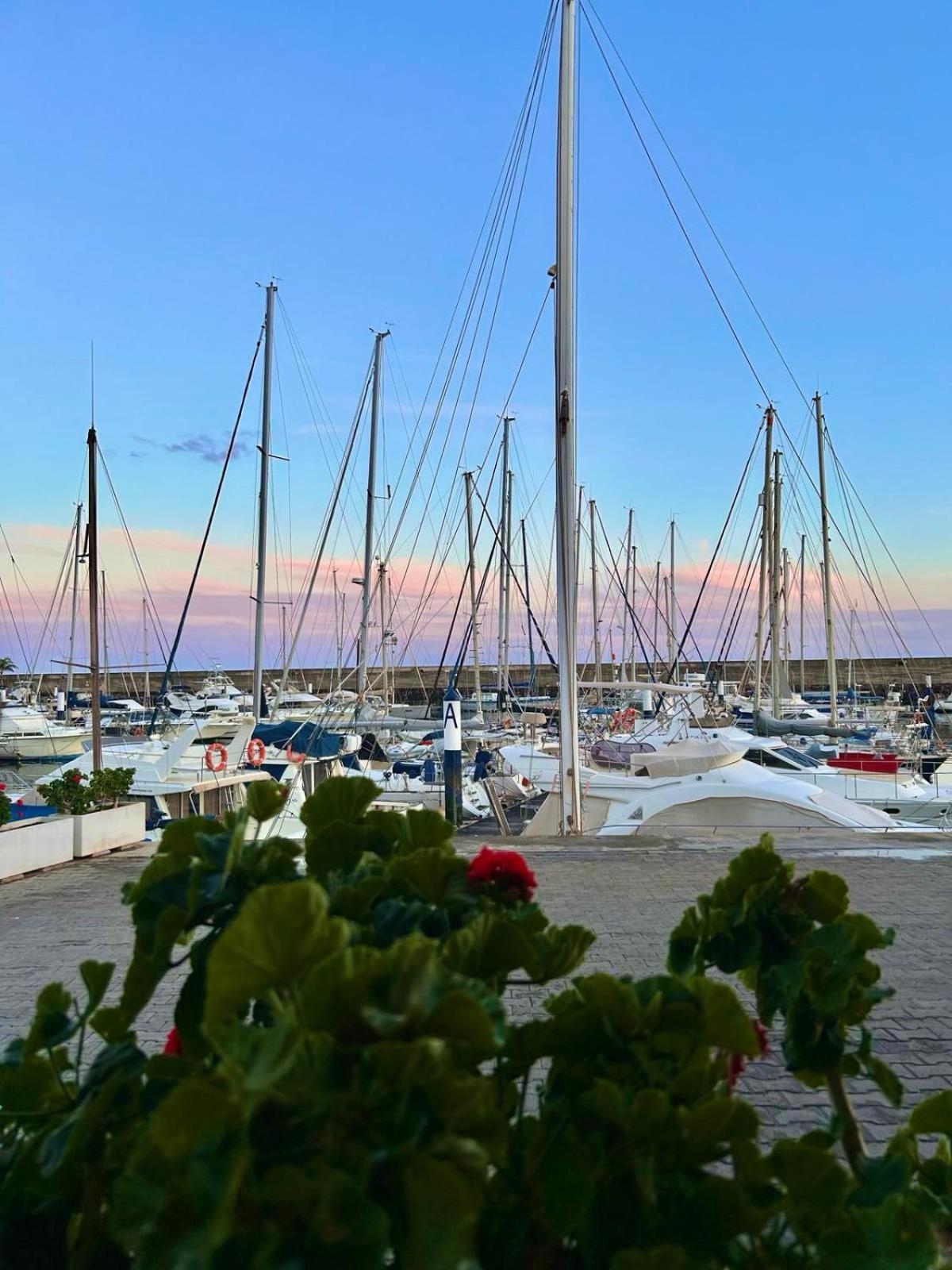 Casa Natalie La Marina Lejlighed Puerto Calero Eksteriør billede