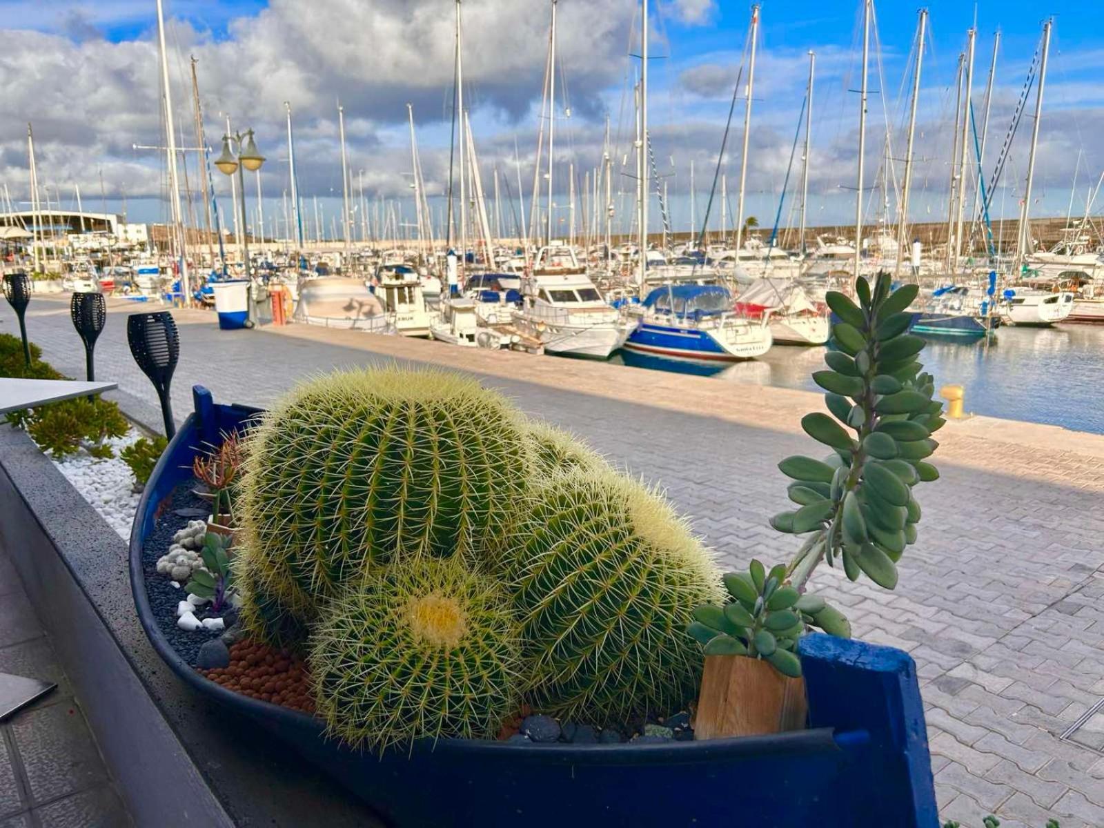 Casa Natalie La Marina Lejlighed Puerto Calero Eksteriør billede